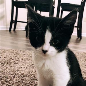 Meet your Posher, Deja